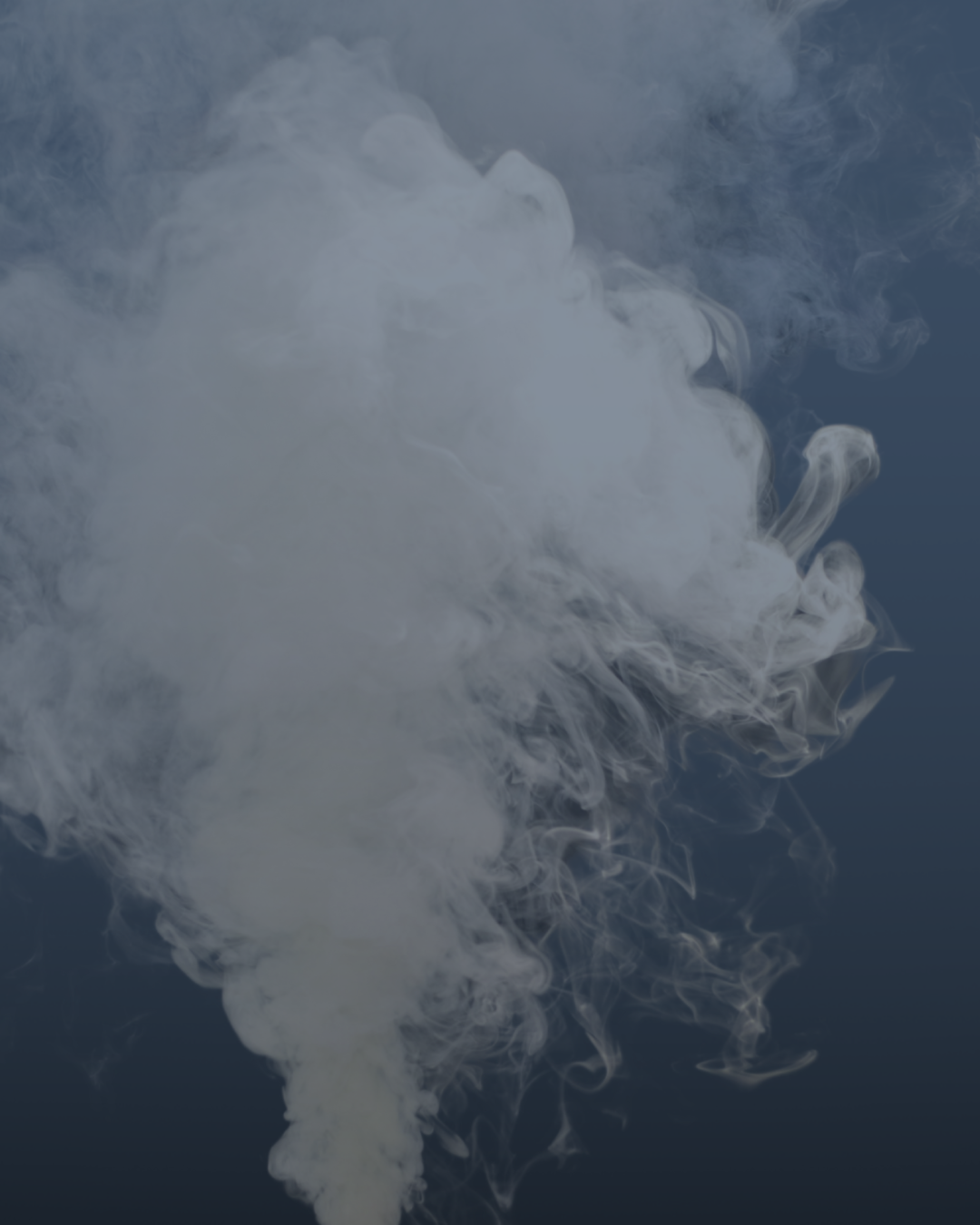 Cerati (2).png